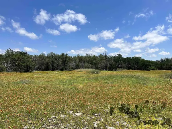 LOT 28 Twisted Oak DR, Horseshoe Bay, TX 78657