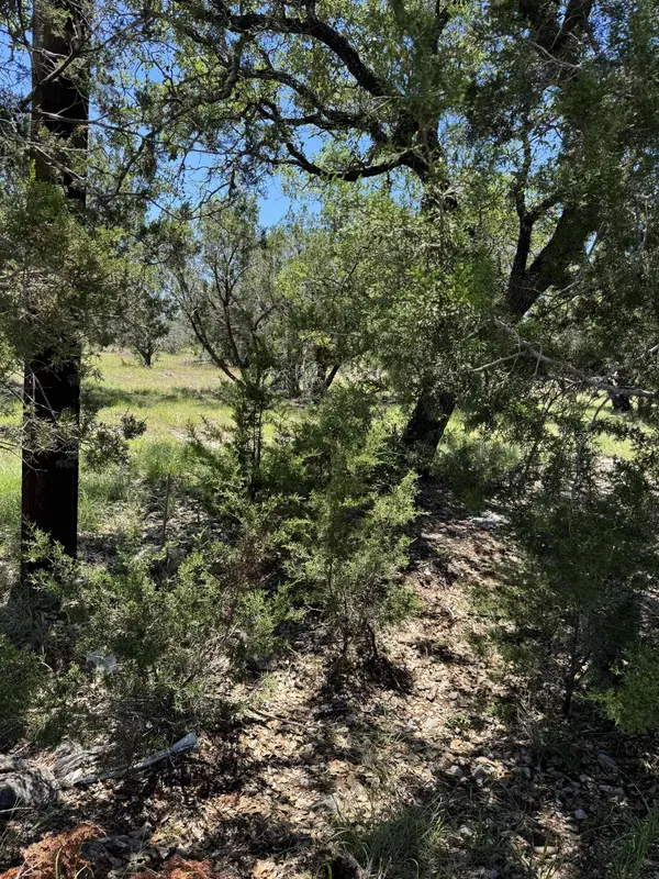 TBD Chameleon DR, Horseshoe Bay, TX 78657