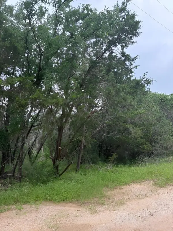 45 Lunar Dr, Burnet, TX 78611