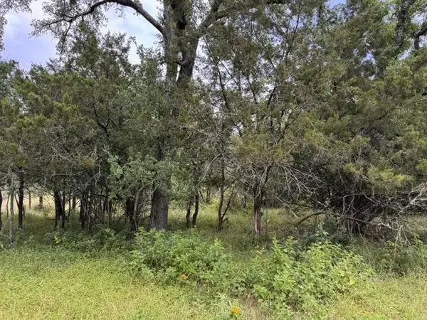 Lot 27 Pecan LN, Cottonwood Shores, TX 78657