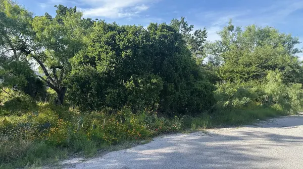 LT 852 & 853 Melba LN, Tow, TX 78672