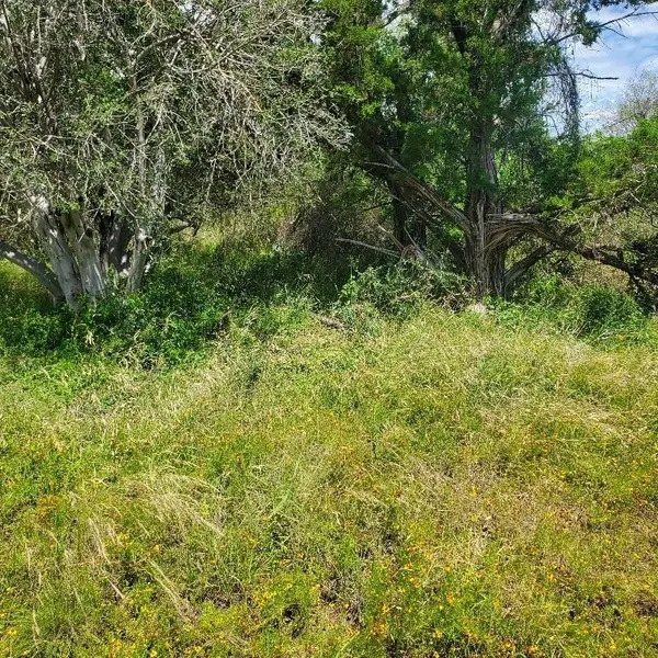 Lots 739 & 740 Norwood DR, Granite Shoals, TX 78654