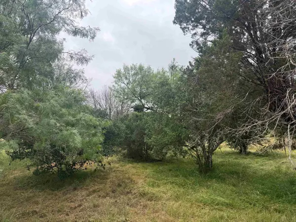 103 Blue Fox, Horseshoe Bay, TX 78657