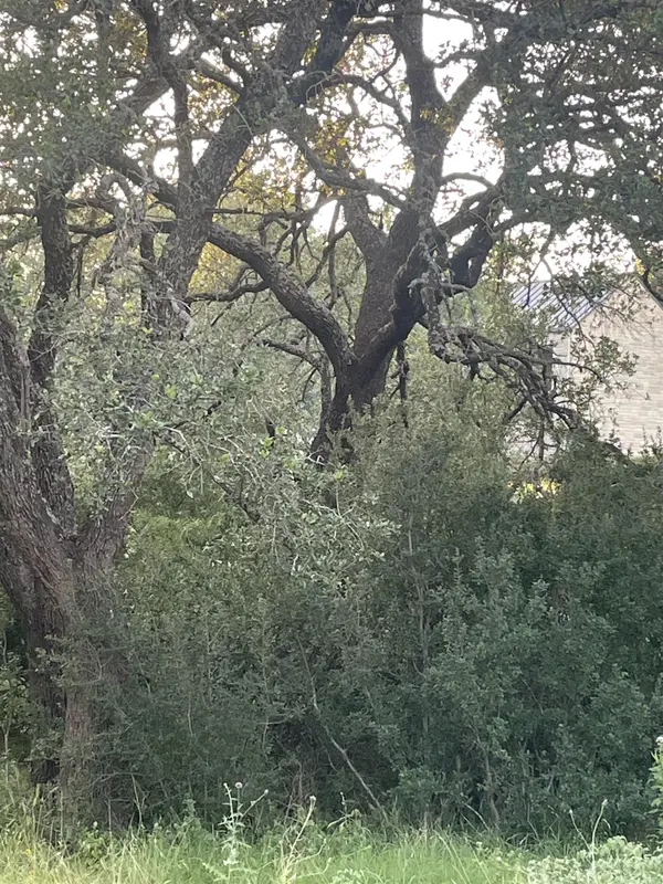Lot 15 Orange Plume, Horseshoe Bay, TX 78657