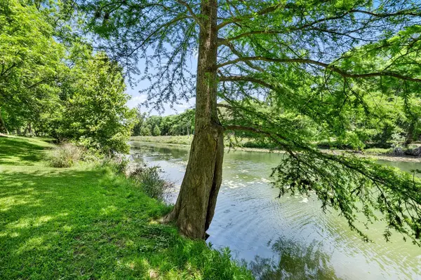 1242 Ervendberg AVE, New Braunfels, TX 78130