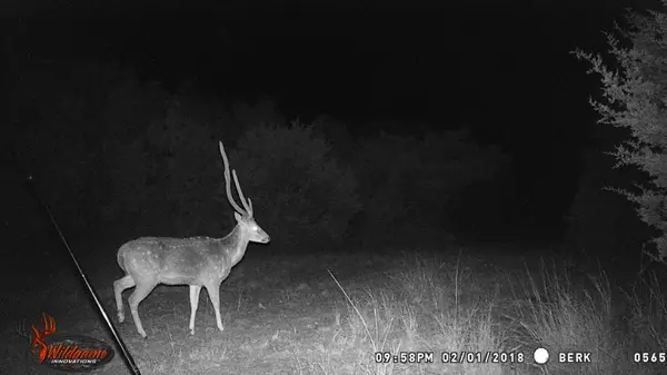 000 Private Road 3150, Out Of Area, TX 78832