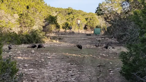 000 Private Road 3150, Out Of Area, TX 78832