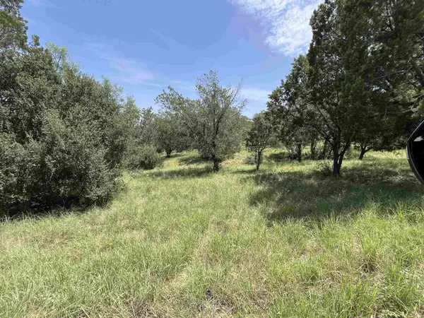 TBD Spider Valley, Horseshoe Bay, TX 78657