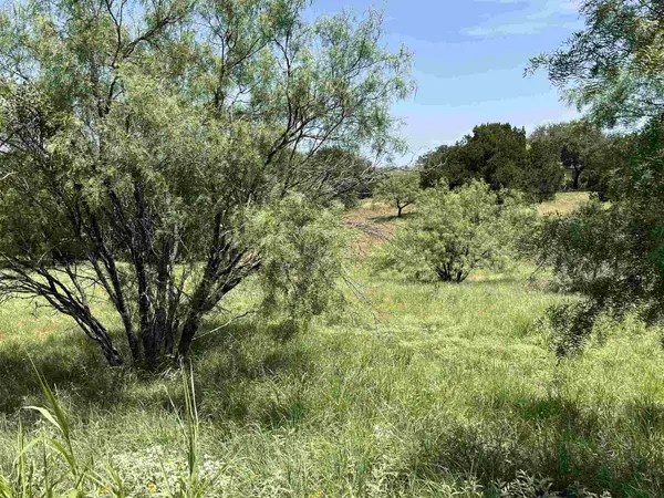 TBD Spider Valley, Horseshoe Bay, TX 78657