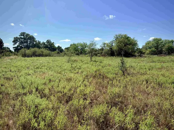 Buffalo Spring Circle, Valley Spring, TX 76885