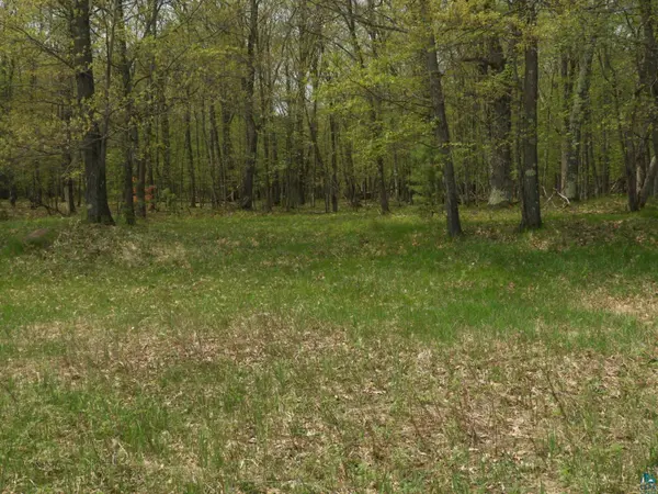 6726X E Deep Lake Rd, Iron River, WI 54847