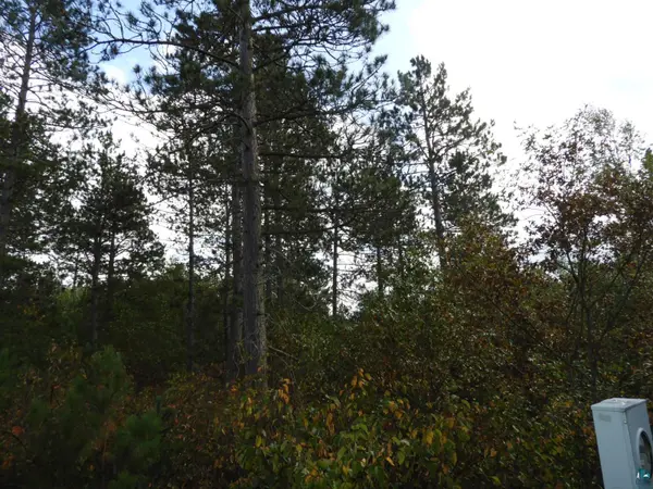 1765 E Wilderness Ct, Barnes, WI 54873