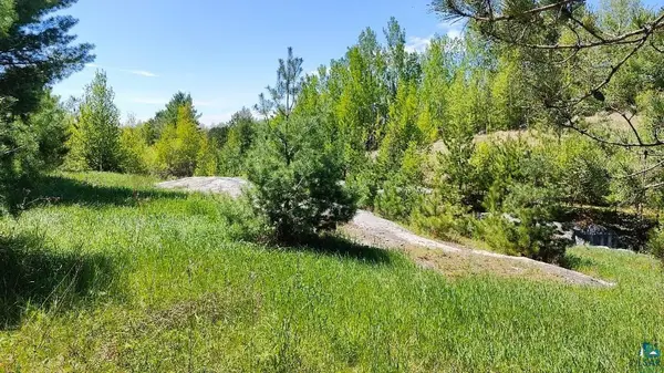 80036 Sweet Fern Loop, Tower, MN 55790