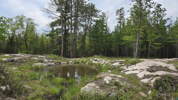 7316 Crane Lake Rd, Crane Lake, MN 55725