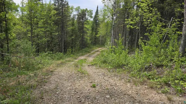 7316 Crane Lake Rd, Crane Lake, MN 55725