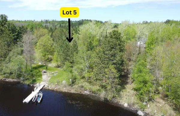 80075 Waters of Vermilion Rd, Tower, MN 55790