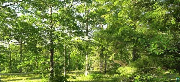 83xxx Ashwabay Heights Rd, Bayfield, WI 54814