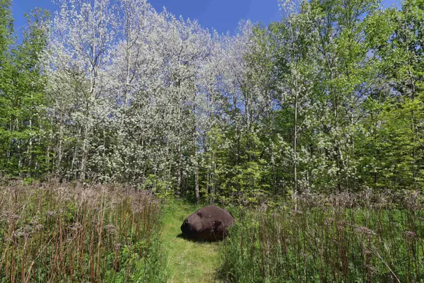 Lot 19 Eagle Run, Bayfield, WI 54814