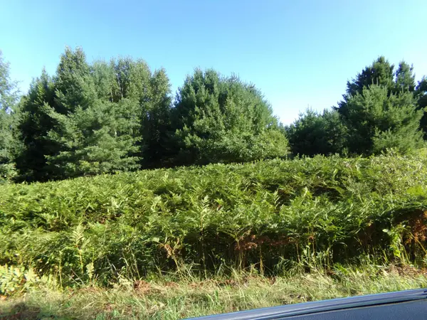 7581 S Marsik Rd, Lake Nebagamon, WI 54849-9999