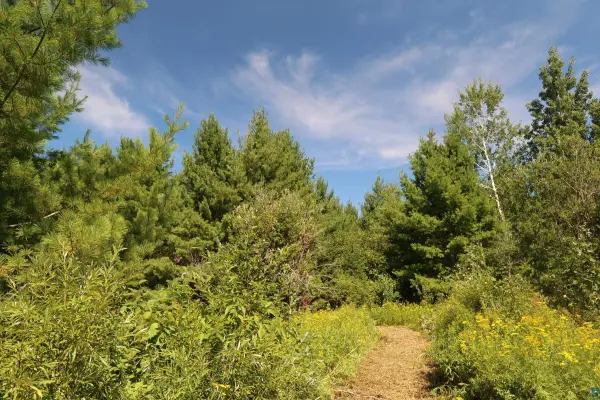 30210 Wannebo Rd, Washburn, WI 54891