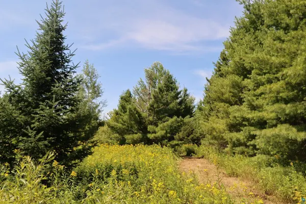 30210 Wannebo Rd, Washburn, WI 54891