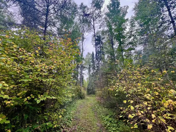 TBD N White Iron Rd, Ely, MN 55731