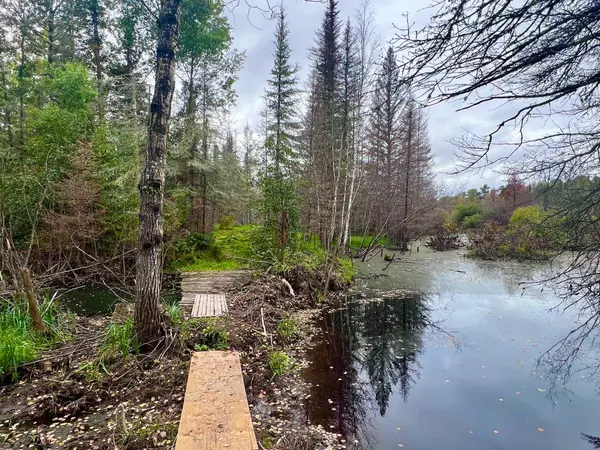 TBD N White Iron Rd, Ely, MN 55731