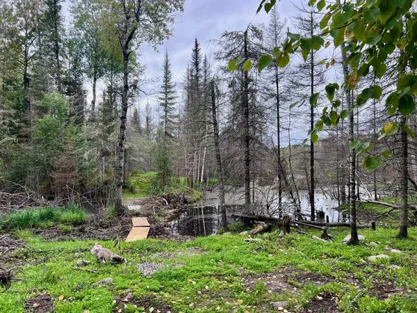TBD N White Iron Rd, Ely, MN 55731