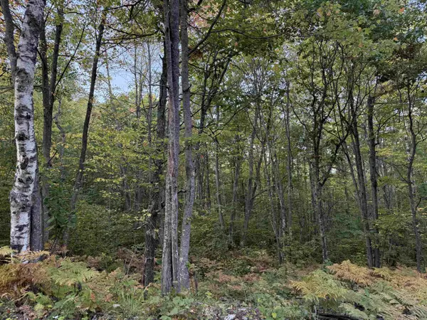 000 Old Hwy 2, Iron River, WI 54847