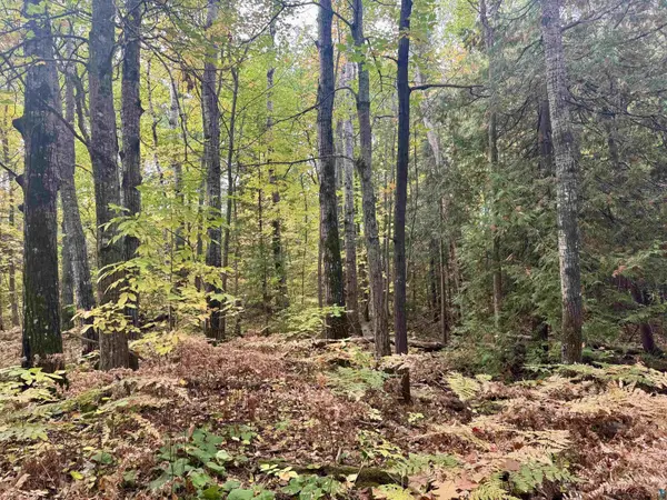 TBD Eagle Run, Bayfield, WI 54814