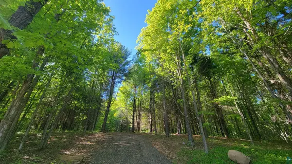 11xxx Old Military Rd, Bayfield, WI 54814