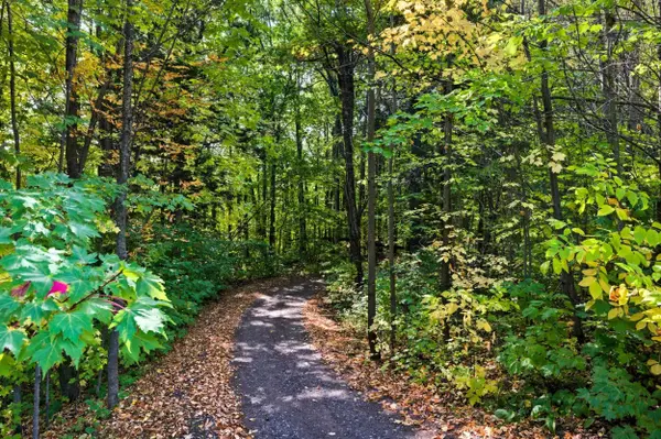 85XXX Apple Hill Rd, Bayfield, WI 54814