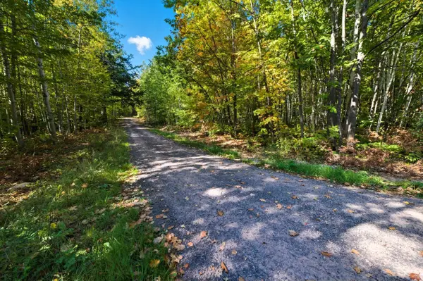 85XXX Apple Hill Rd, Bayfield, WI 54814