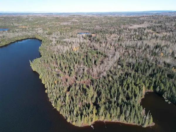 Lot 2 Fullerton Rd, Hovland, MN 55606