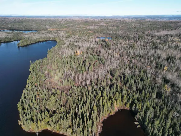 Lot 2 Fullerton Rd, Hovland, MN 55606