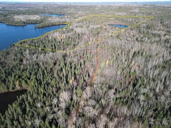 Lot 2 Fullerton Rd, Hovland, MN 55606