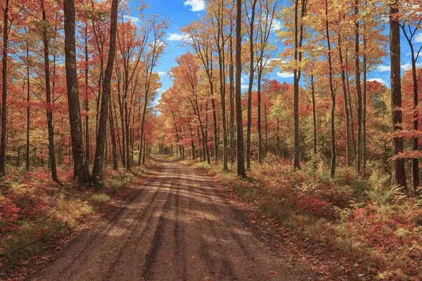 TBD Lot #4 Tressel Trail, Iron River, WI 54847