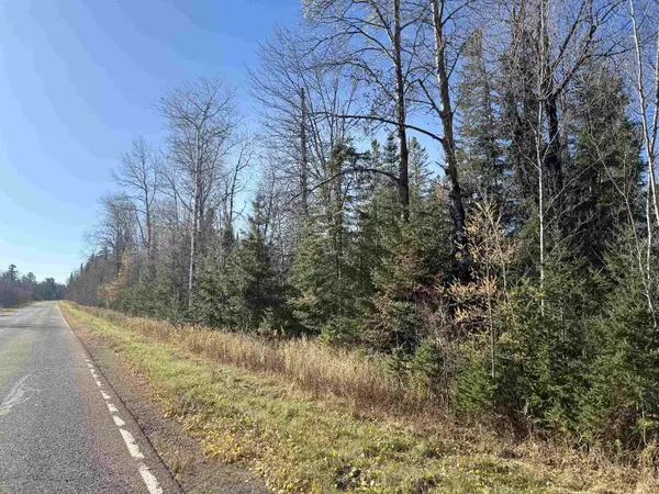 6027 N County Hwy M, Winter, WI 54896