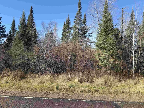 6027 N County Hwy M, Winter, WI 54896
