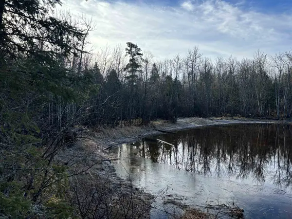 XXX9 Powerhouse Trail, Ely, MN 55731