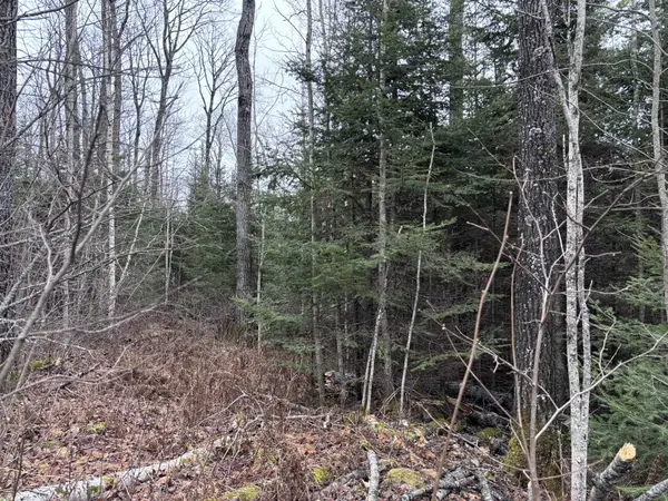 XXD Pine Peak Rd, Lutsen, MN 55612