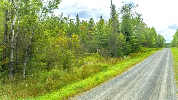 TBD Comet Rd, Embarrass, MN 55732