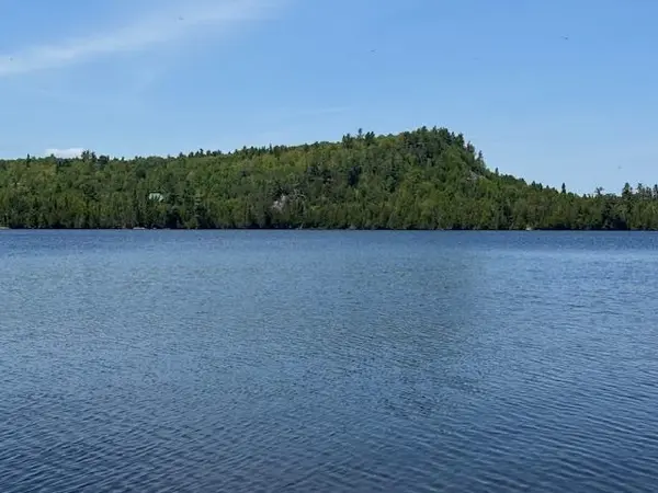 14XX Tom Lake Rd, Hovland, MN 55606
