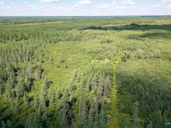 XXXX Access Rd, Cotton, MN 55724