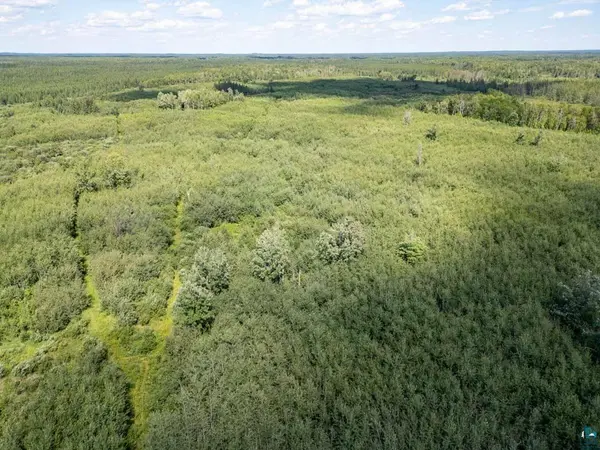 XXXX Access Rd, Cotton, MN 55724