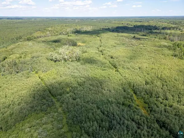 XXXX Access Rd, Cotton, MN 55724