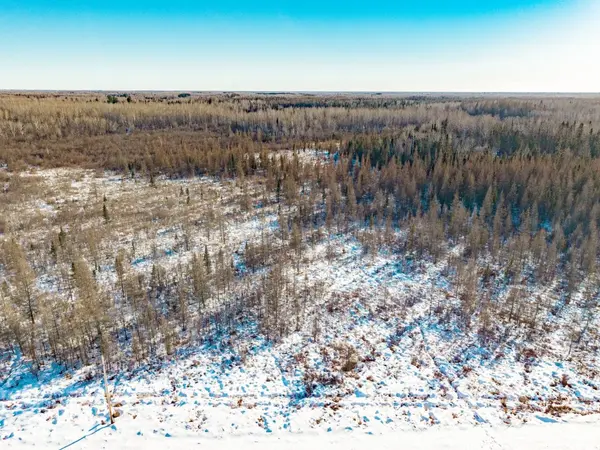 84XX Peary Junction Rd, Cotton, MN 55724