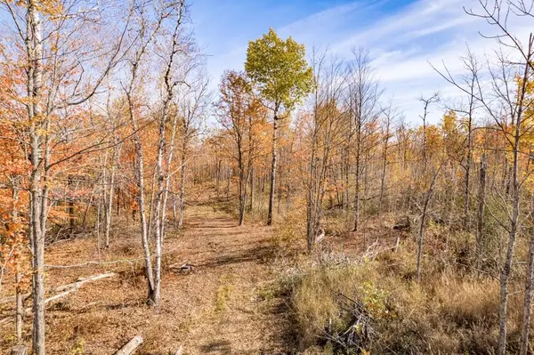 xxx Amity Drive, Duluth, MN 55803