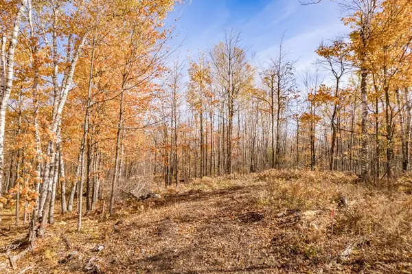 xxx Amity Drive, Duluth, MN 55803