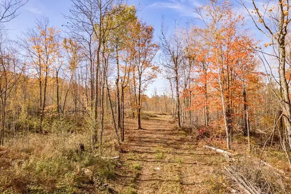 xxx Amity Drive, Duluth, MN 55803